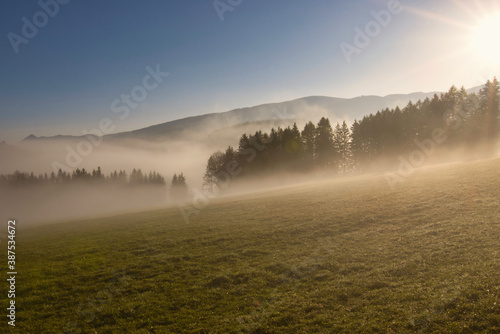 Nebellandschaft