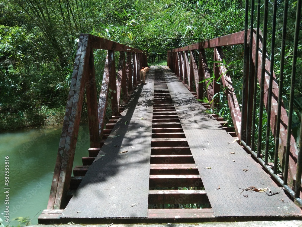 Obraz premium bridge