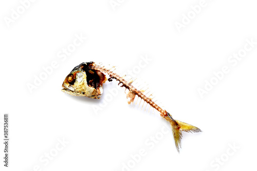 Bones and fish head isolated on white background. Remains of fried fish. food scraps