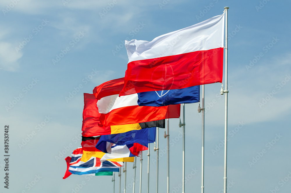 Flagi NATO - obrazy, fototapety, plakaty 