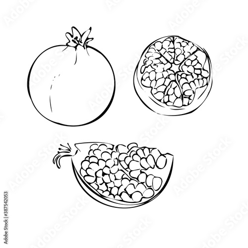 Vector illustration of a garnet on a white isolated background. Shop sketch, banner, menu, and logo. Black and white outline. EPS 10
