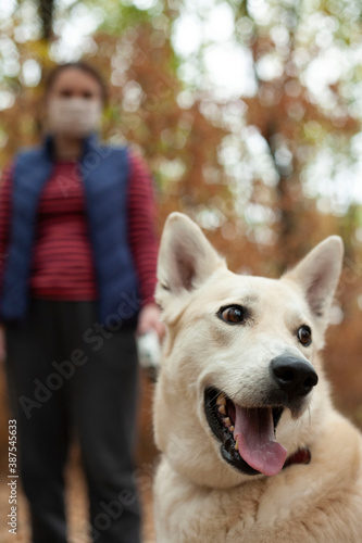 Dog in focus. The woman in the mask is out of focus. Masked woman walking the dog in the park