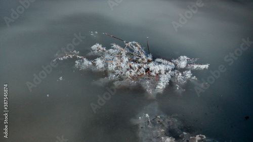 Frost over water on dead leaves