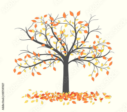 Autumn trees with fallen leaves