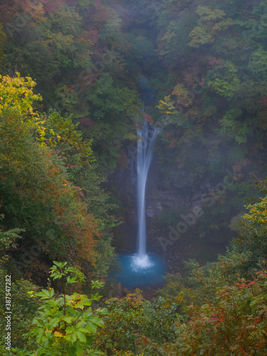 Waterfall in the autumnal forest  Tochigi  Japan 