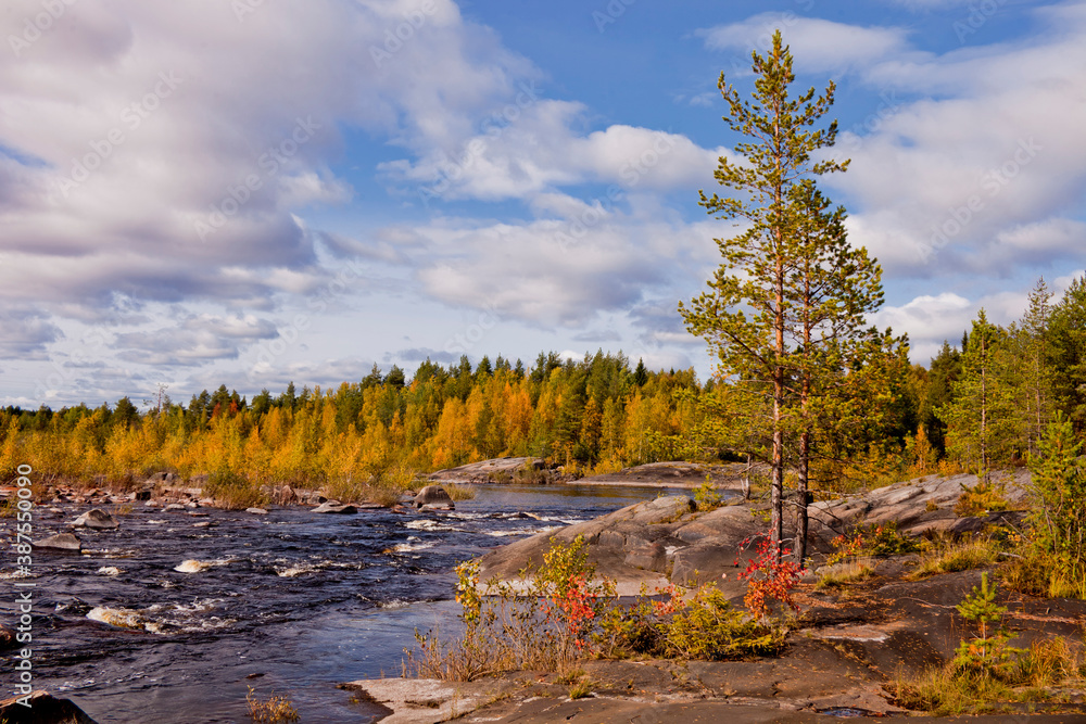 Vyg river. Karelian autumn Landscape, Russia.