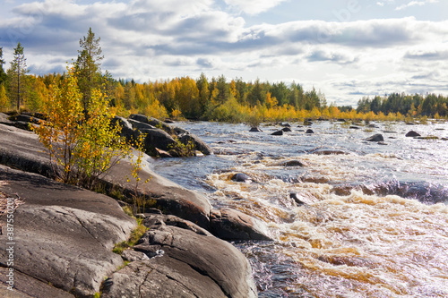 Vyg river. Karelian autumn Landscape, Russia. photo