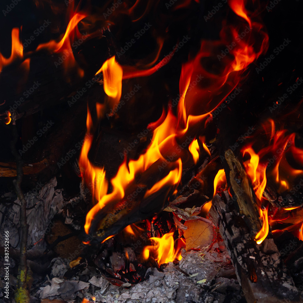 A bright fire is burning on wood. A bright fire is burning on wood.