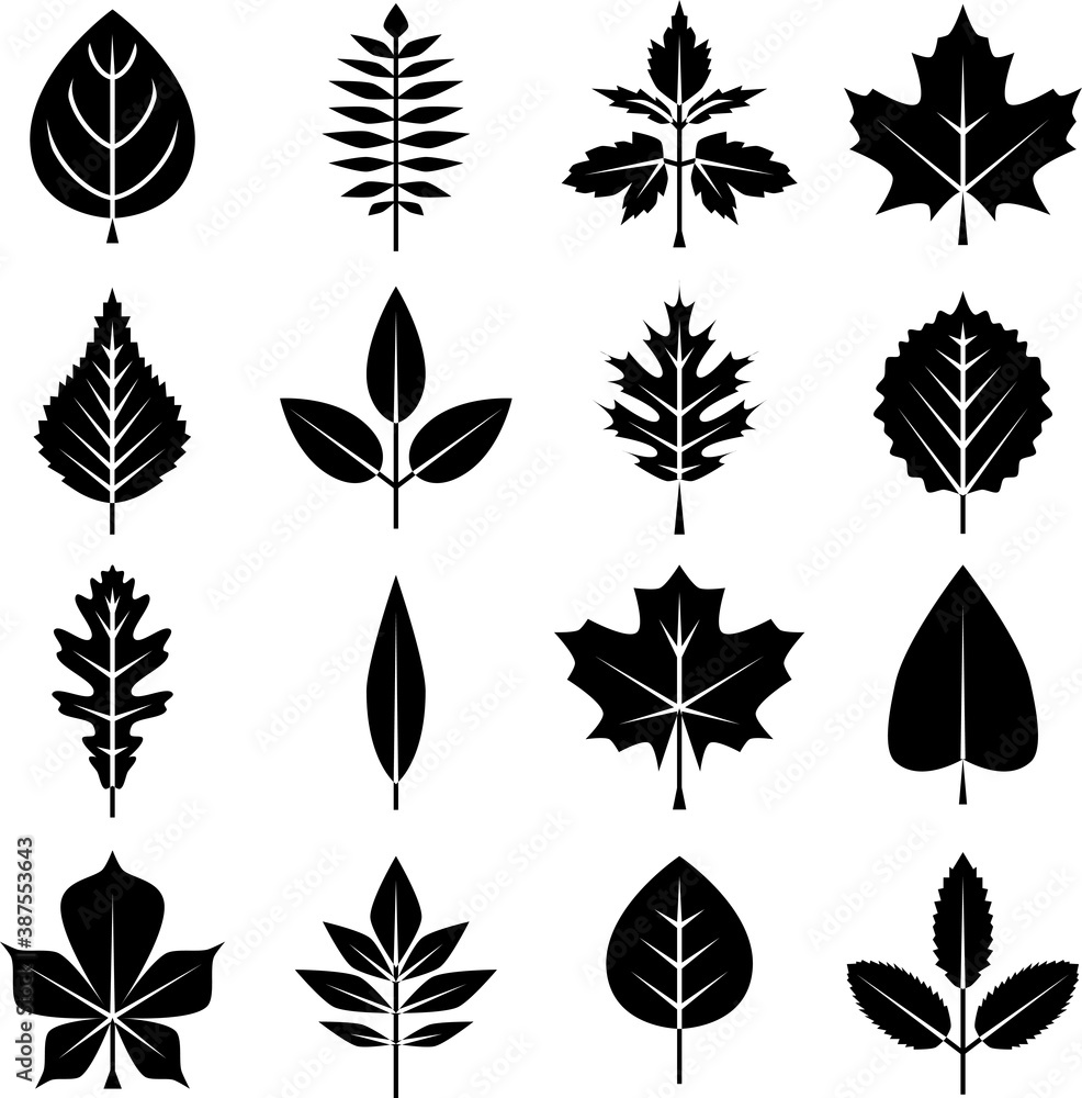 autumn and summer tree leaves icons set black autumn and summer tree leaves icons set black
