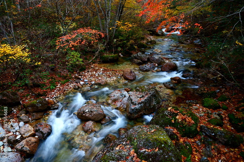 オレンジの紅葉と落葉が美しい川の風景