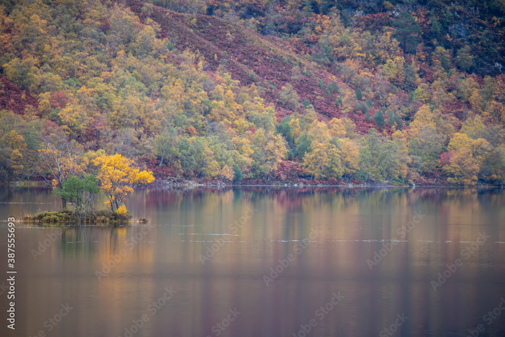 loch clair, torridon, reflection of the surrounding pine trees in autumn foliage.