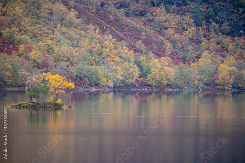 Obraz na płótnie loch clair, torridon, reflection of the surrounding pine trees in autumn foliage. w salonie