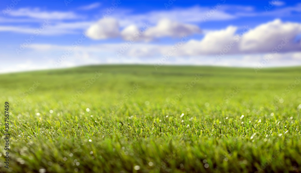 Green grass field, small hills and blue cloudy sky background. Green grass field, small hills and blue cloudy sky background.