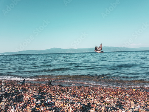 person on a beach