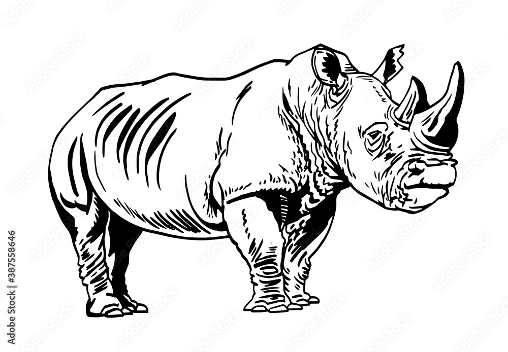 Fototapeta premium Graphical rhino isolated on white, vector illustration