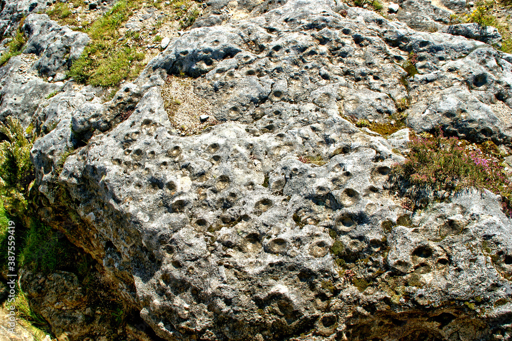 Farrowing stones (Pedras Parideiras) at the Geopark of Arouca, Portugal