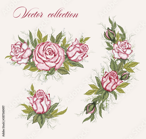 a modern bouquet, a set of roses. hand-drawn illustration of flowers. isolated decorative elements. vector composition for invitations, postcards, design, holiday. vintage style.