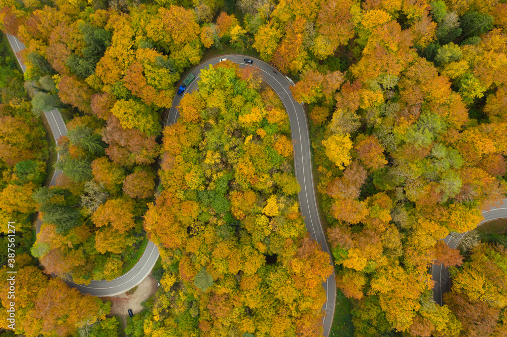 Autumn forest from the top view. Impressive day drone photography with passenger cars and a motor bike following a slow tractor at a curvy raad.