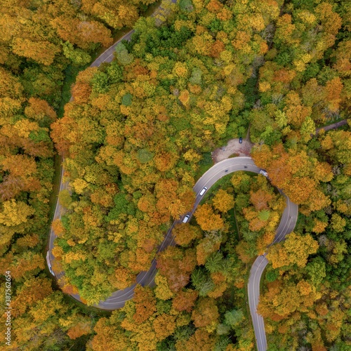 Autumn from above with a droneshot of a double curve in a colorful forest and driving cars, beautiful fall, positive emotional nature photo.