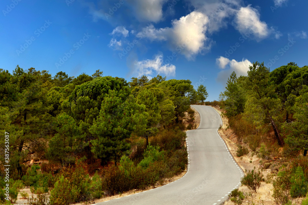 Lonely road with a amazing sky