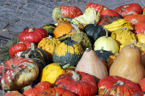 Colorful ornamental pumpkins, gourds and squashes in the street for Halloween holiday.