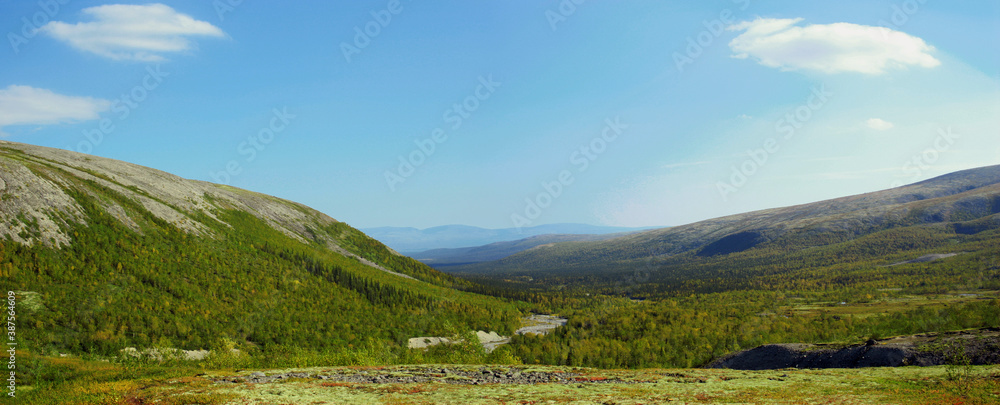 Mountain forest landscape . Khibiny mountains above the Arctic circle, Kola peninsula, Russia