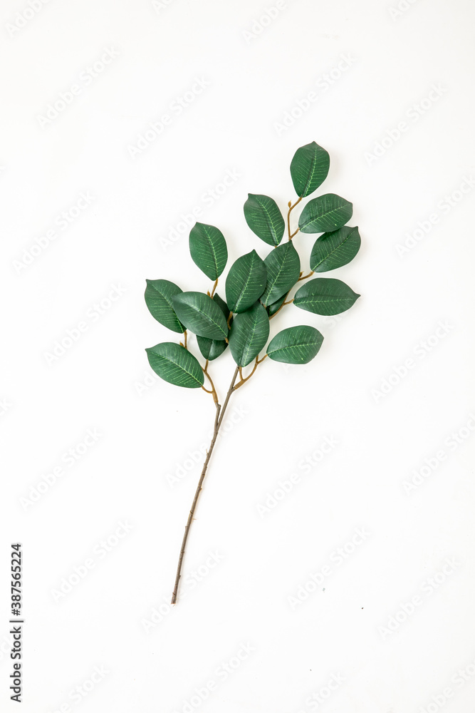 造花 造花