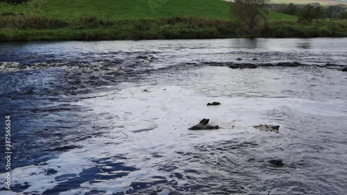 White foam pollution in a river contaminating the environment. Contaminated water swirling in an eddy