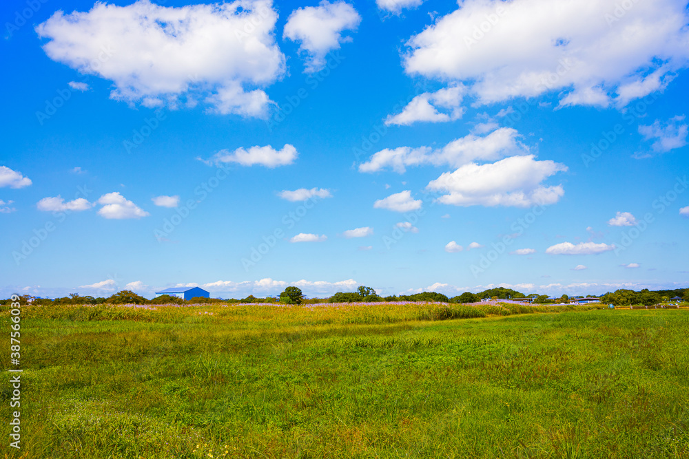 Fototapeta premium 空