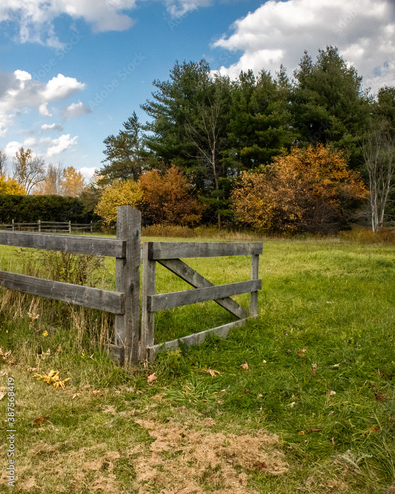 old wood gate leading into a farm pasture on a lovely autumn day