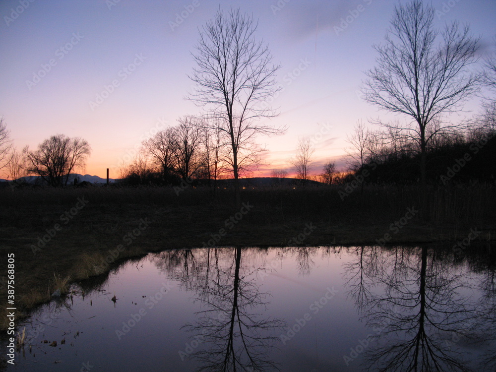 Sunset over the pond with trees silhouetted