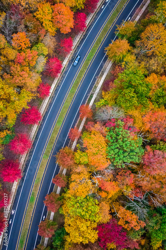 Aerial of Foliage in Princeton New Jersey 