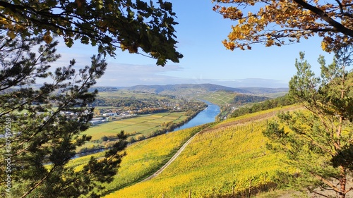 Herbstliche Mosellandschaft zwischen Bernkastel-Kues und Traben-Trarbach