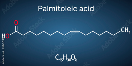 Palmitoleic acid, palmitoleate molecule. It is an omega-7 monounsaturated fatty acid. Structural chemical formula on the dark blue background