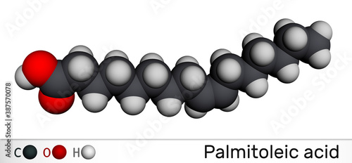 Palmitoleic acid, palmitoleate molecule. It is an omega-7 monounsaturated fatty acid. Molecular model. photo