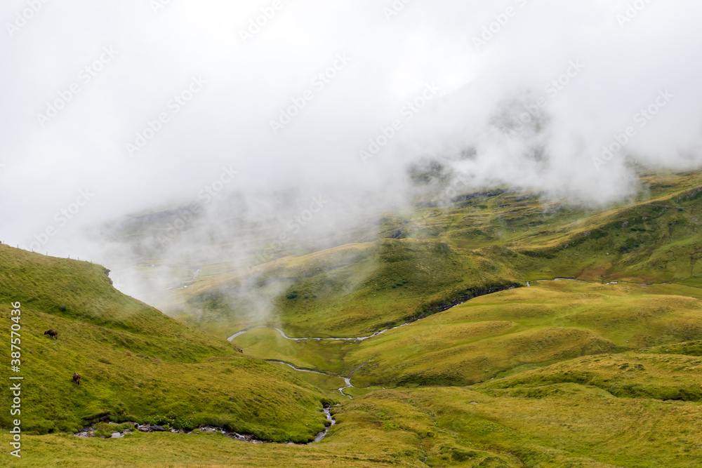 Stream running through the hills in the Valais Alps near First, Switzerland on a foggy summer day. 