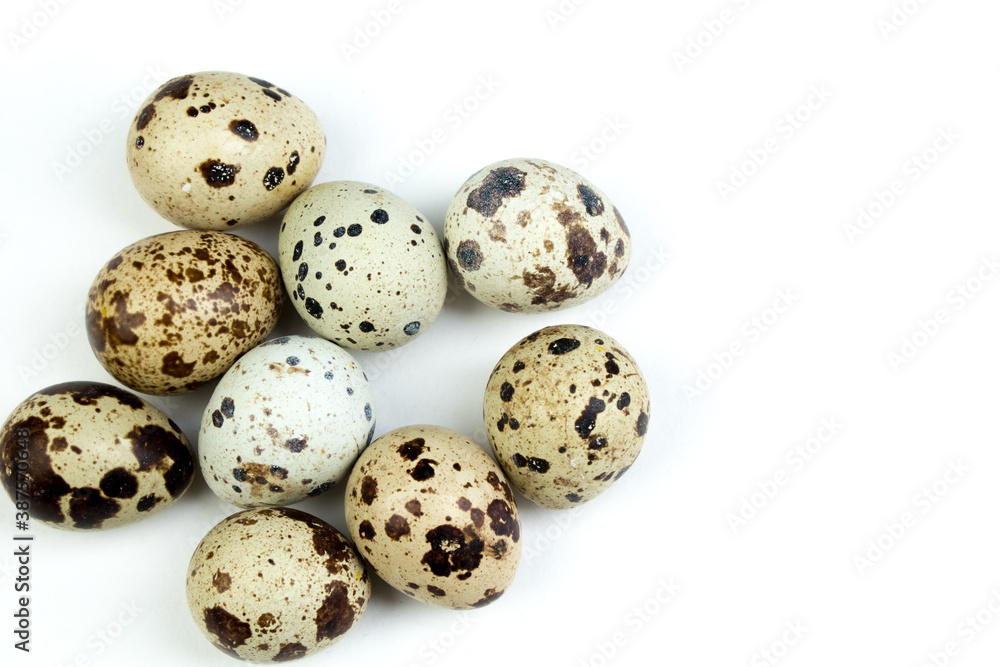 Eggs quail isolated on white background. Copy space for text. Top view Eggs quail isolated on white background. Copy space for text. Top view
