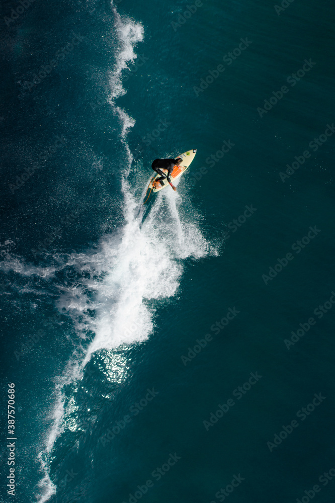 Obraz premium Surf