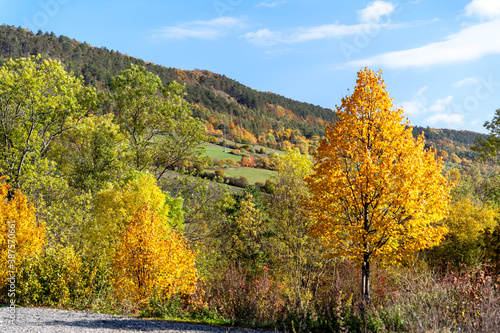 Fototapeta Naklejka Na Ścianę i Meble -  Thüringen im goldenen Herbst