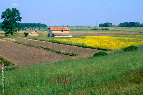 Basso Ferrarese, Ferrara. Paesaggio del Delta del Po a primavera con fattoria