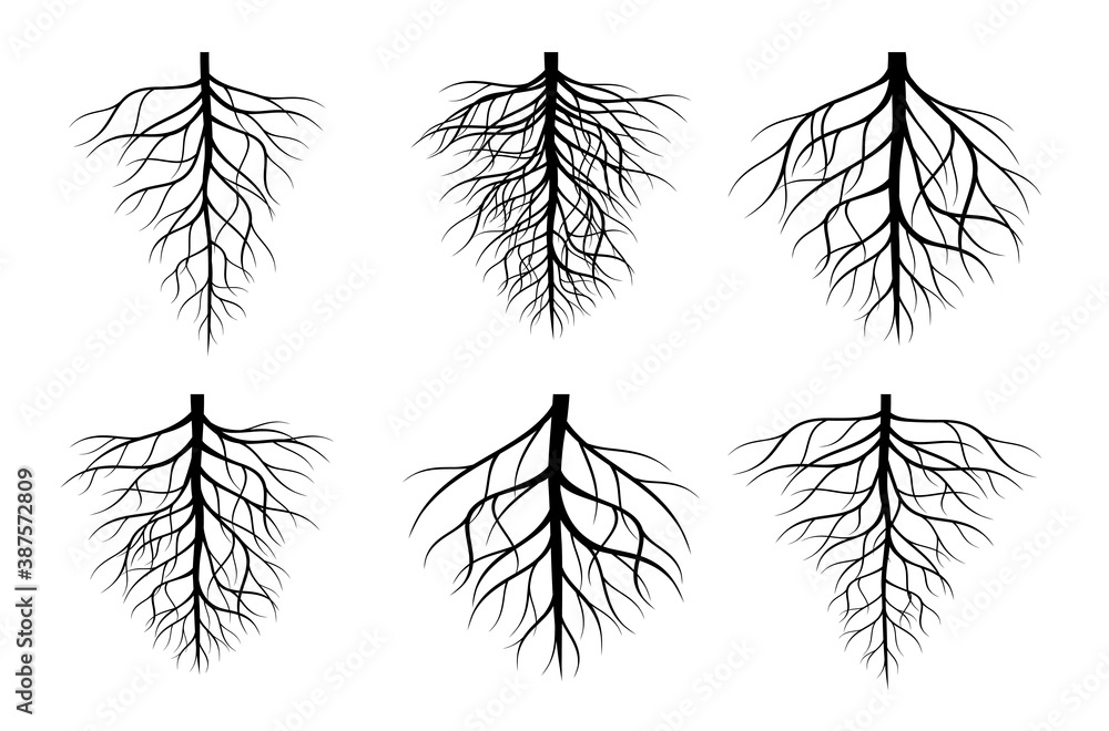 Naklejka premium A set of black Tree Roots. Vector outline Illustration. Plant and Garden.