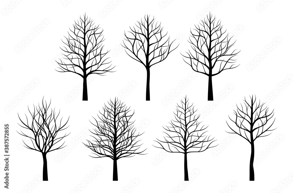 Fototapeta premium A set of black naked Trees. Vector outline Illustration. Plant and Garden.