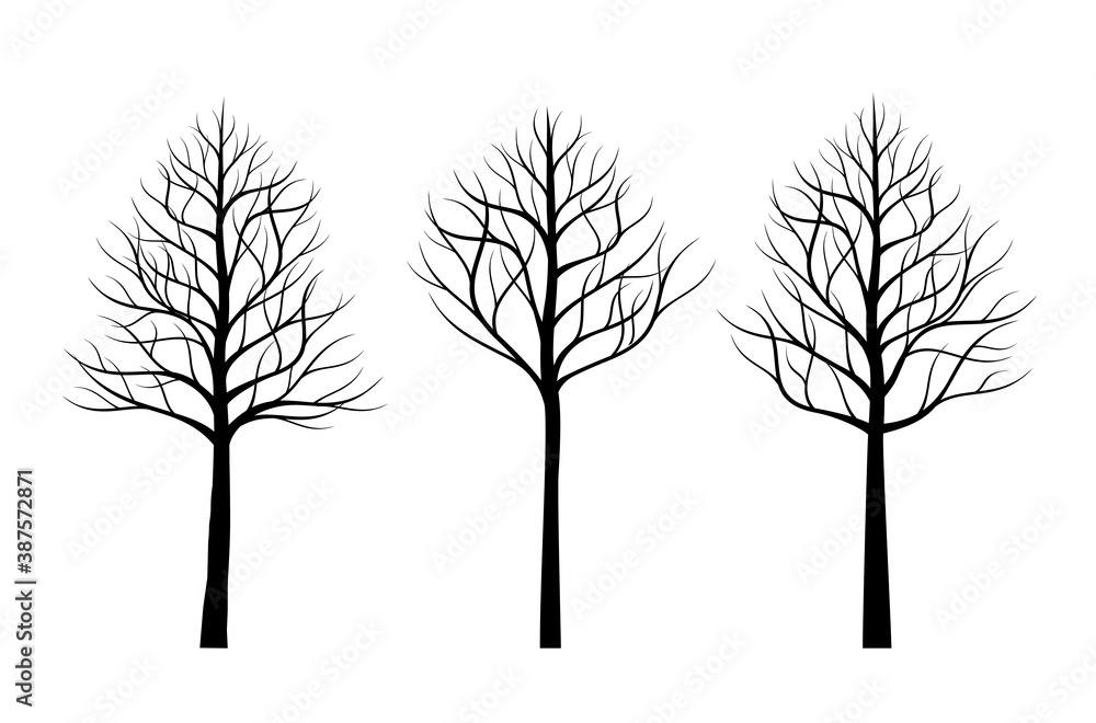 Fototapeta premium A set of black naked Trees. Vector outline Illustration. Plant and Garden.