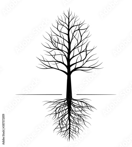 Shape of naked Tree and Roots. Vector outline Illustration. Plant in Garden.
