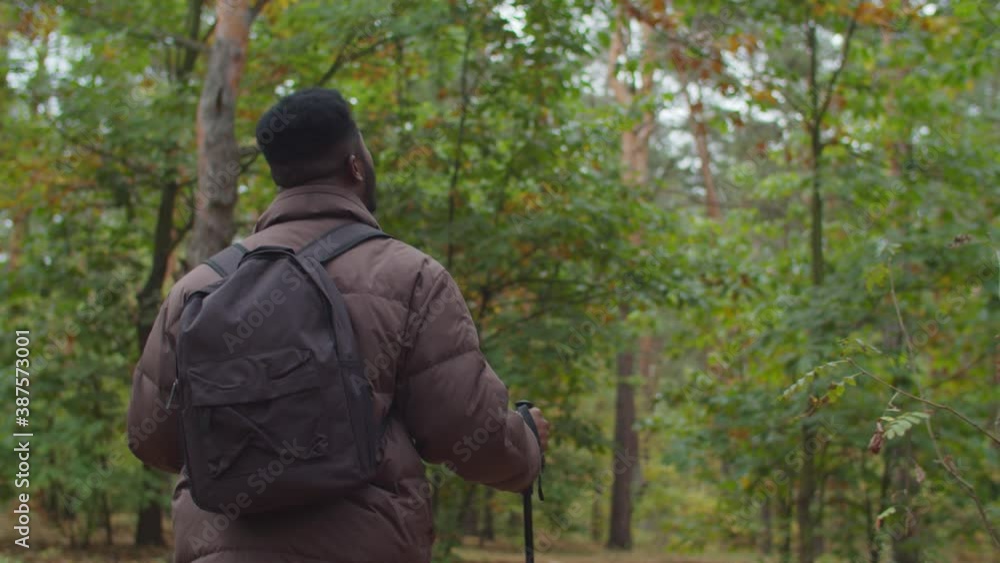 Rear view of african male hipster hiker with backpack travelling in autumn forest, looking for right direction while trekking with hiking poles on woodland trail and exploring wild nature in fall. Rear view of african male hipster hiker with backpack travelling in autumn forest, looking for right direction while trekking with hiking poles on woodland trail and exploring wild nature in fall.