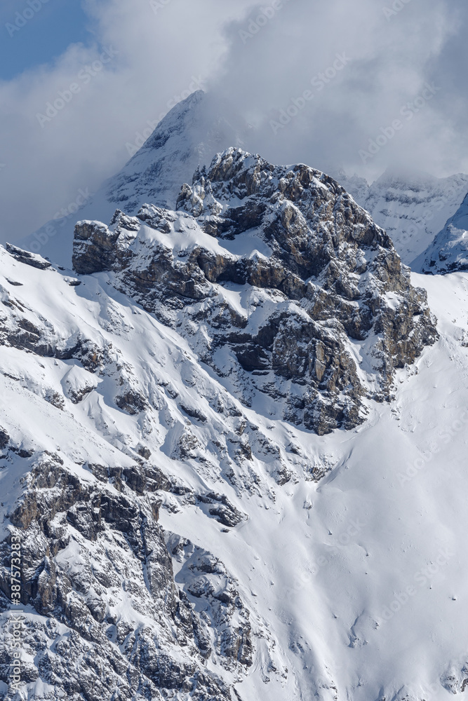 Obraz premium Panorama of the Ortler Group in the Italian Alps