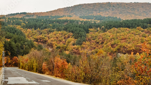 Autumn landscape of trees in the national city park.