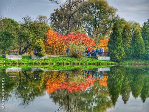 autumn in the park