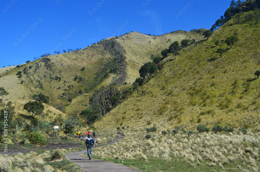 hiking in the mountains