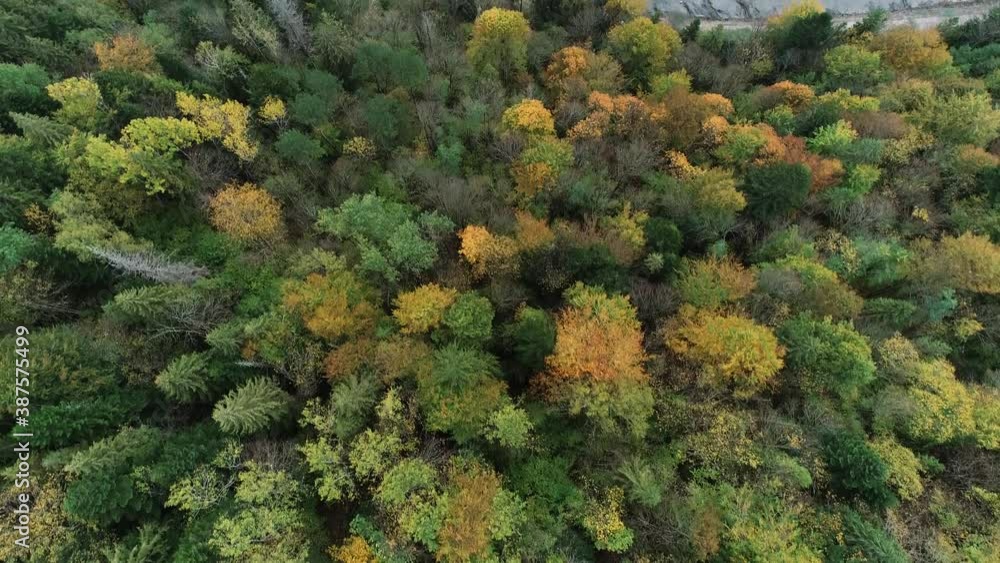 Aerial View Above River Water in Forest with Colorful trees. Aerial Top View Over Straight Road in Colorful Countryside Autumn Forest. Fall Orange, Green, Yellow, Red Leaves Trees Woods 4K Aerial View Above River Water in Forest with Colorful trees. Aerial Top View Over Straight Road in Colorful Countryside Autumn Forest. Fall Orange, Green, Yellow, Red Leaves Trees Woods 4K